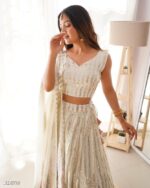 Hevay Lehenga Choli