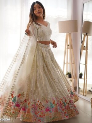 Hevay Lehenga Choli