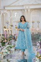 Sky Blue Anarkali And Dupatta