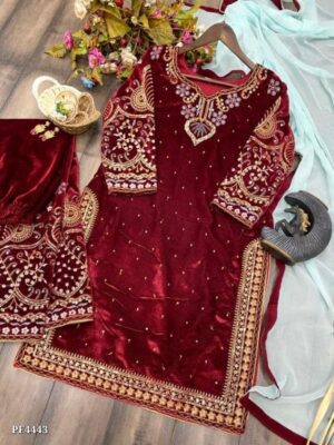 Velvet Embroidery Suit